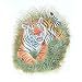 Asia Art Miniatures India Folk Paintings Drawings & Water Color on Paper 6.5 x 10.5 inches