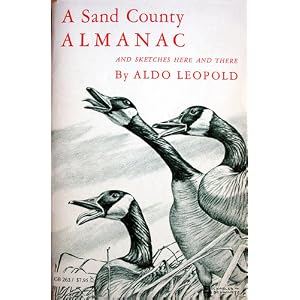 Cover of "A Sand County Almanac"