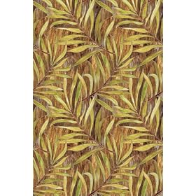 Palm Window Film 24-by-36-Inch