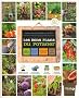 Les bons plans du potager