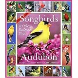 365 Audubon Songbirds and Other Backyard Birds Picture-A-Day 2009 Wall Calendar