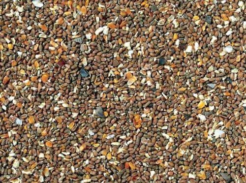 Chicken Feed Corn With Oyster Shell Grit 20kg by Johnston and Jeff