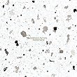 Oblivion Hymns by HAMMOCK MUSIC 【並行輸入品】