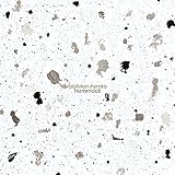 Oblivion Hymns by HAMMOCK MUSIC 【並行輸入品】