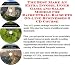 Book The Best Make An Extra Income, Inner Game and Sales Models for Racquetball Racquets On-line Businesses 3 CD Course