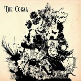 Butterfly House (Acoustic Version)