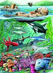 Life on the Pacific Ocean (35 Piece Tray Puzzle)