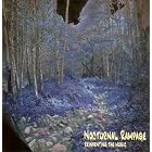 Reinventing the Music by  Nocturnal Rampage 