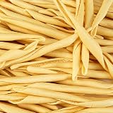 Sapori Di Napoli Filei Vaticani Pasta by ChefShop.com