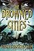 The Drowned Cities (Ship Breaker)
