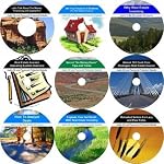 The Intensive  Nine CD Zero Down, Flexible Seller, Real Estate Mentoring System book cover