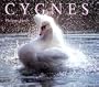 Cygnes