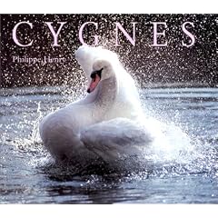 Cygnes
