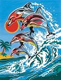 Paint By Number - Dolphins