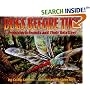 Bugs Before Time: Prehistoric Insects and Their Relatives