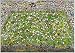Puzzle Mordillo, Crazy World Cup - 4000 Teile, gelegte Größe: 96 x 136 cm