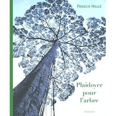 Plaidoyer pour l'arbre