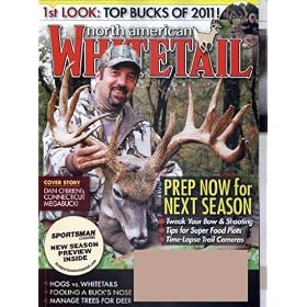 North American Whitetail
