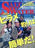 SALT WATER (����ȥ���������) 2009ǯ 12��� [����]