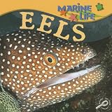 Eels (Marine Life Discovery Library)