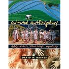 Click here to buy Cultural Anthropology: Adaptations, Structures, Meanings by  David W. Haines.