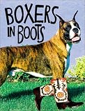 Boxers in Boots