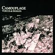 Voices and Images