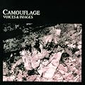 Voices and Images
