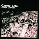 Voices and Images