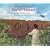 A Picture Book of Harriet Tubman (Picture Book Biography)