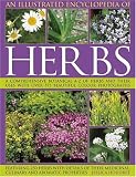 An Illustrated Encyclopedia of Herbs: A comprehensive A-Z of herbs and their uses with 700 color photographs