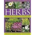 An Illustrated Encyclopedia of Herbs: A comprehensive A-Z of herbs and their uses with 700... by Jessica Houdret