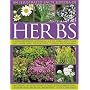 An Illustrated Encyclopedia of Herbs: A comprehensive A-Z of herbs and their uses with 700 color photographs