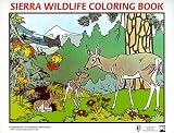 Sierra Wildlife Coloring Book