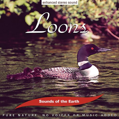 CD-Charts  Music : Sounds of the Earth: Loons