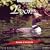 Sounds of the Earth: Loons