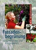 Fassadenbegrünung. Kletterpflanzen und Klettergerüste
