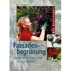 Fassadenbegr�nung. Kletterpflanzen und Kletterger�ste