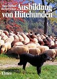 Ausbildung von H�tehunden