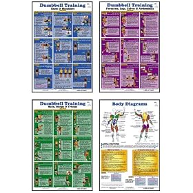 Dumbbell Training Posters by 