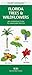 Book Florida Trees & Wildflowers: An Introduction to Familiar Species (Pocket Naturalist)