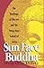 Sun-Face Buddha: The Teachings of Ma-Tsu and the Hung-Chou School of Ch'an