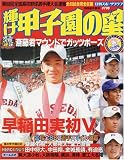 輝け甲子園の星 (2006選手権号) (日刊スポーツグラフ)