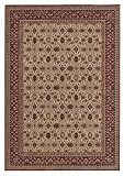 Herati Ivory Brown/Dark Brown by Capel Rugs Estates Collection