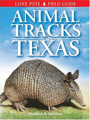 Tracks