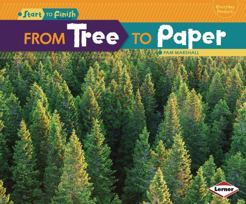 From Tree To Paper (Start to Finish)