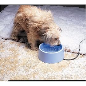 5 Qt. Heated Bowl Plastic by Allied Precision