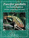 Furcifer pardalis. Das Panthercham�leon