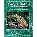 Furcifer pardalis. Das Panthercham�leon
