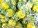 Lemonhead Lemon Candy, 3 lb Bag